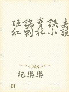 砸锅卖铁去上学红刺北小说完整版