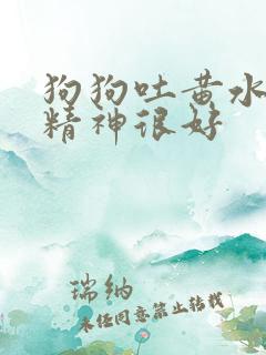 狗狗吐黄水拉稀精神很好