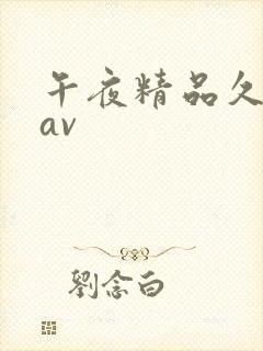 午夜精品久久久av