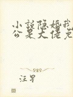 小说隐婚我的老公是大佬免费阅读