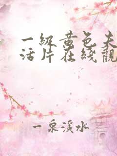 一级黄色夫妻生活片在线观看