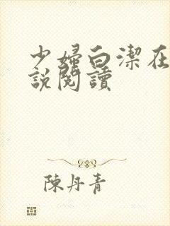 少妇白洁在线小说阅读