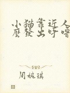 小猫靠近人为什么发出呼噜噜的声音