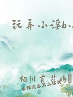 玩弄小淫b小说