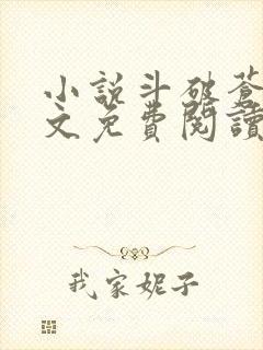 小说斗破苍穹全文免费阅读笔趣阁