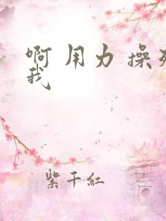 啊 用力 操死我