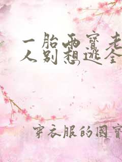 一胎两宝老婆大人别想逃全文免费阅读