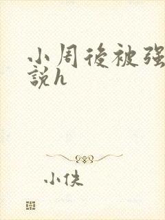 小周后被强迫小说h