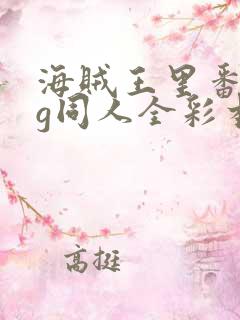 海贼王里番acg同人全彩本子