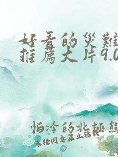 好看的灾难电影推荐大片9.0以上评分