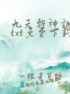 九天斩神诀林辰txt免费下载