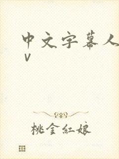 中文字幕人妻aⅴ