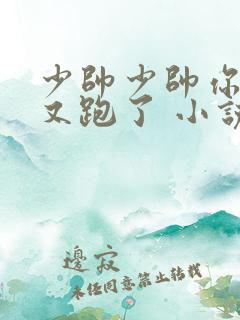 少帅少帅你老婆又跑了 小说