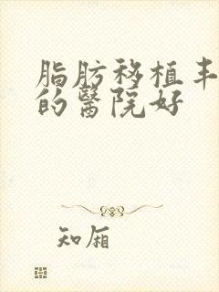 脂肪移植丰胸哪的医院好