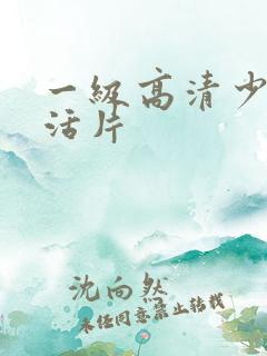 一级高清少妇生活片