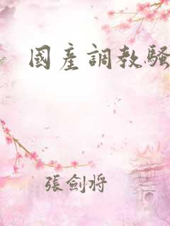 国产调教骚母狗