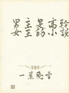 男主是高干强取女主的小说