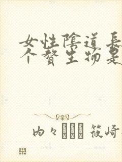 女性阴道长了一个赘生物是怎么回事