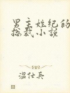 男主姓纪的霸道总裁小说