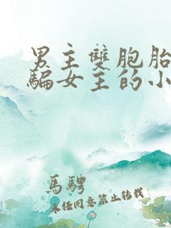 男主双胞胎兄弟骗女主的小说