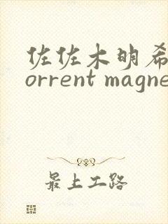 佐佐木明希 torrent magnet