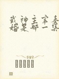 武神主宰秦尘抢婚是哪一集