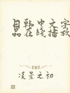 日韩中文字幕精品在线播放