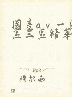 国产aⅴ一区二区三区精华液