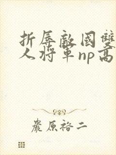 折辱敌国双性美人将军np高h