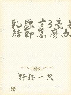 乳腺有3毫米小结节怎么办