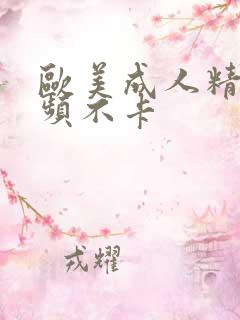 欧美成人精品视频不卡