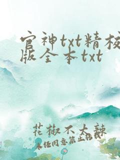 官神txt精校版全本txt