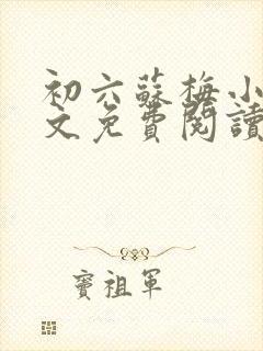 初六苏梅小说全文免费阅读笔趣阁