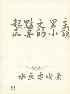 起点文男主沦为正妻的小说