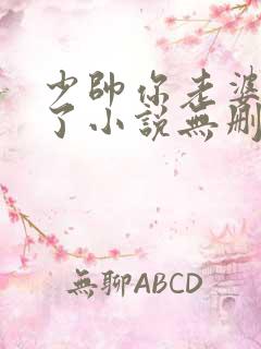 少帅你老婆又跑了小说无删减