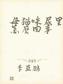 母猫咪尿里有血怎么回事