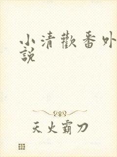 小清欢番外篇小说