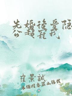 先婚后爱隐婚老公超宠我