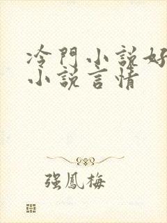 冷门小说好看的小说言情