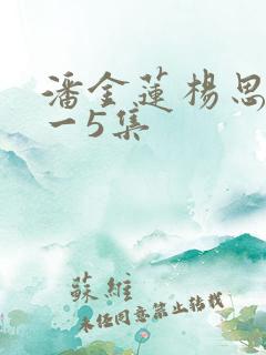 潘金莲杨思敏1一5集