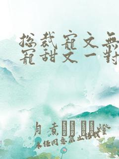 总裁宠文无虐超宠甜文一对一