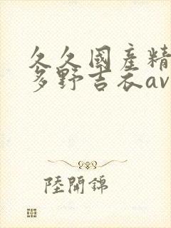 久久国产精品波多野吉衣av