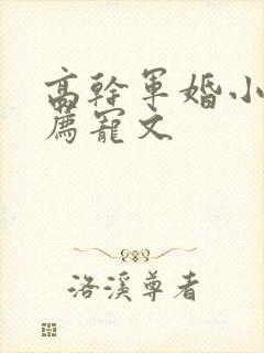 高干军婚小说推荐宠文