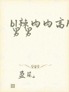 bl辣肉肉高h男男