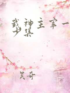 武神主宰一共多少集