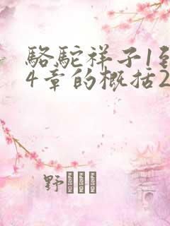 骆驼祥子1到24章的概括20字