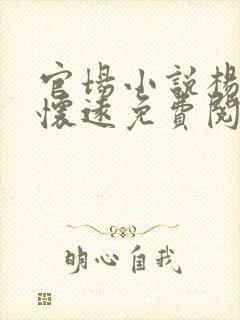 官场小说杨剑陆怀远免费阅读