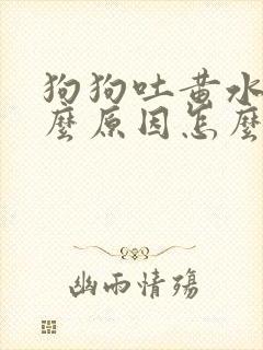 狗狗吐黄水是什么原因怎么治疗