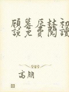 顾慕辰林初荔小说免费阅读最新章节