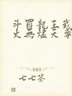 斗罗龙王武魂异火无烬天尊免费阅读